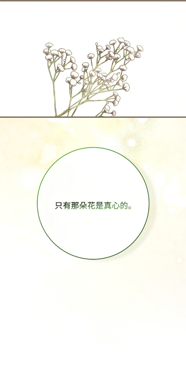 谎言与满天星漫画,第13章：真心的5图
