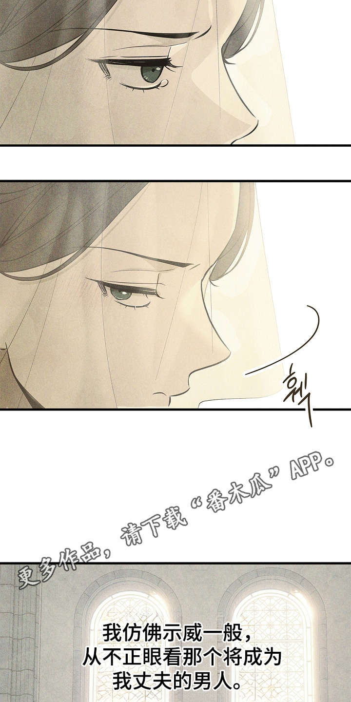 谎言与满天星漫画,第1章：婚礼4图