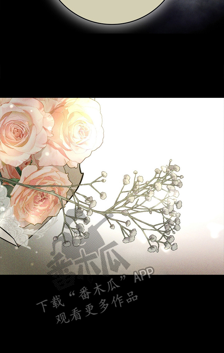 谎言与满天星漫画,第11章：真相1图
