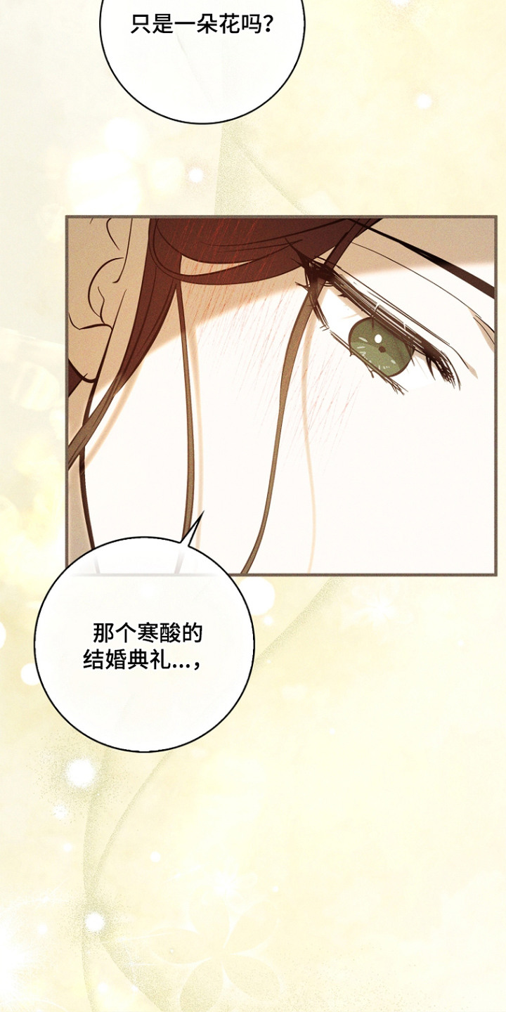 谎言与满天星漫画,第13章：真心的4图