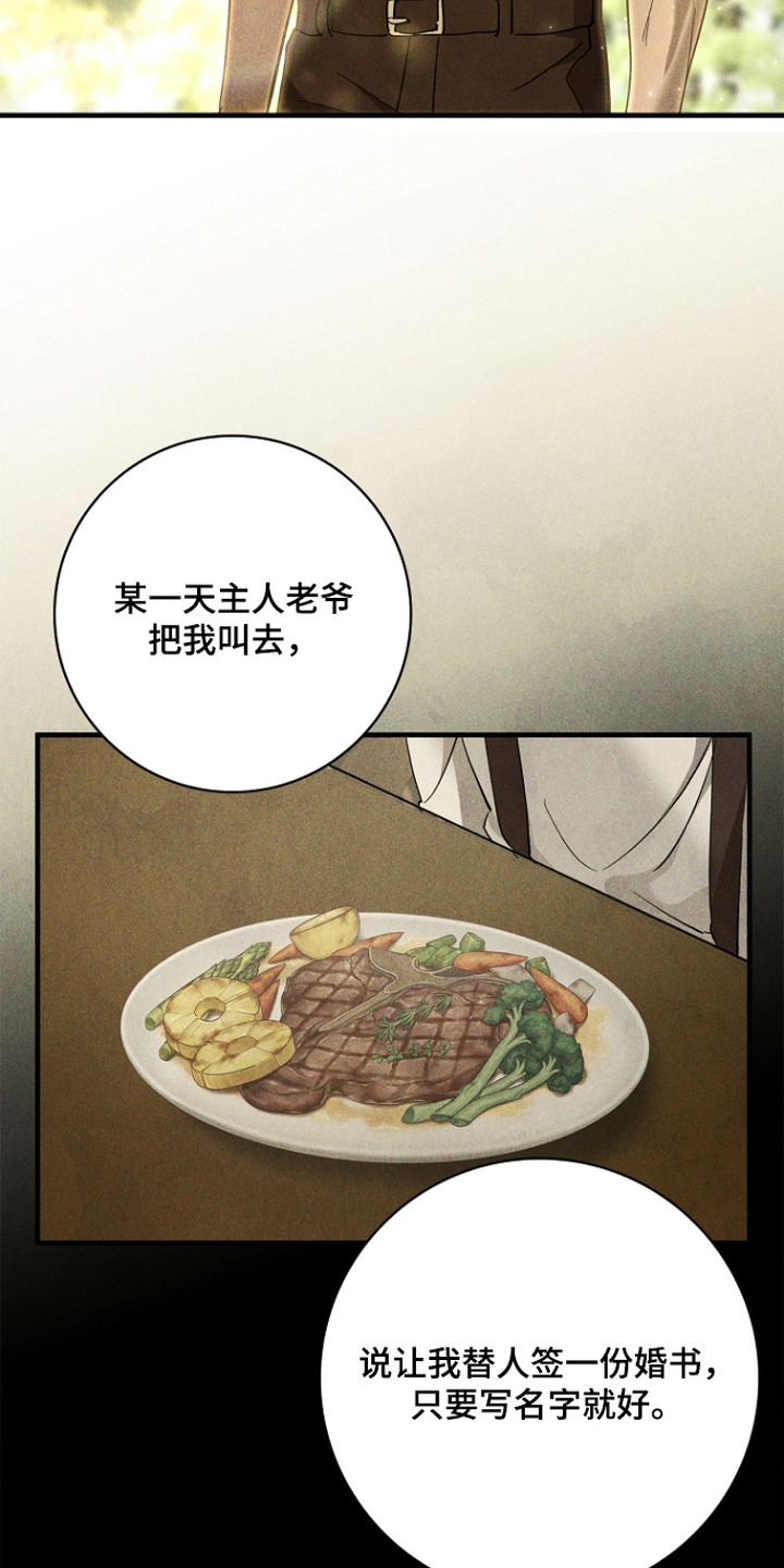 谎言与满天星漫画,第12章：坦白3图