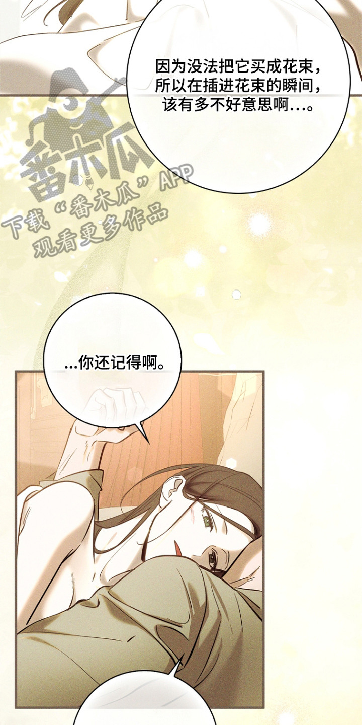 谎言与满天星漫画,第13章：真心的3图