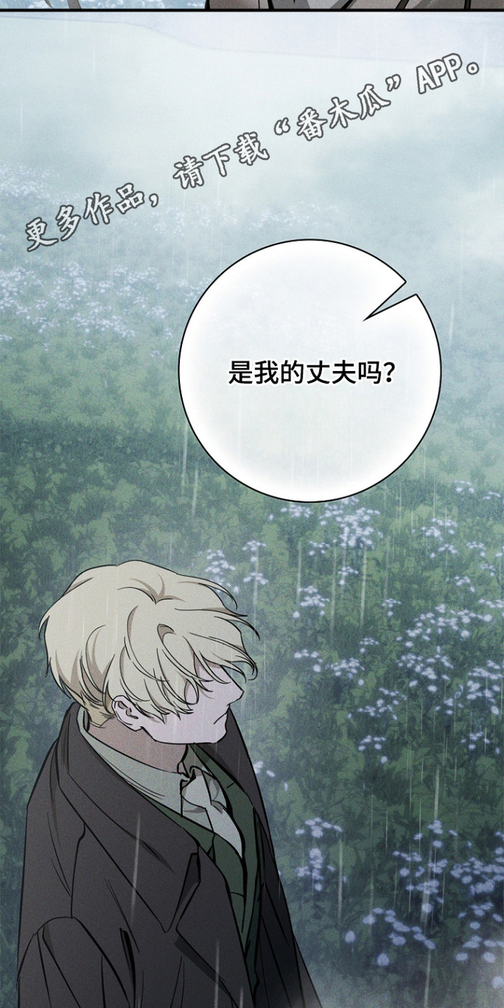 谎言与满天星漫画,第12章：坦白4图