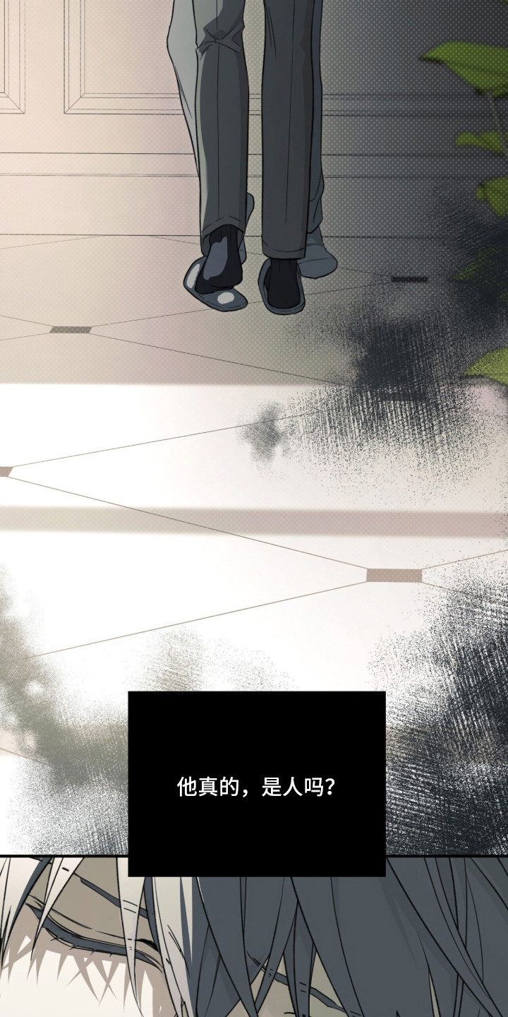 病态眷养角色关系漫画,第16章：唯一的家人（完结）5图