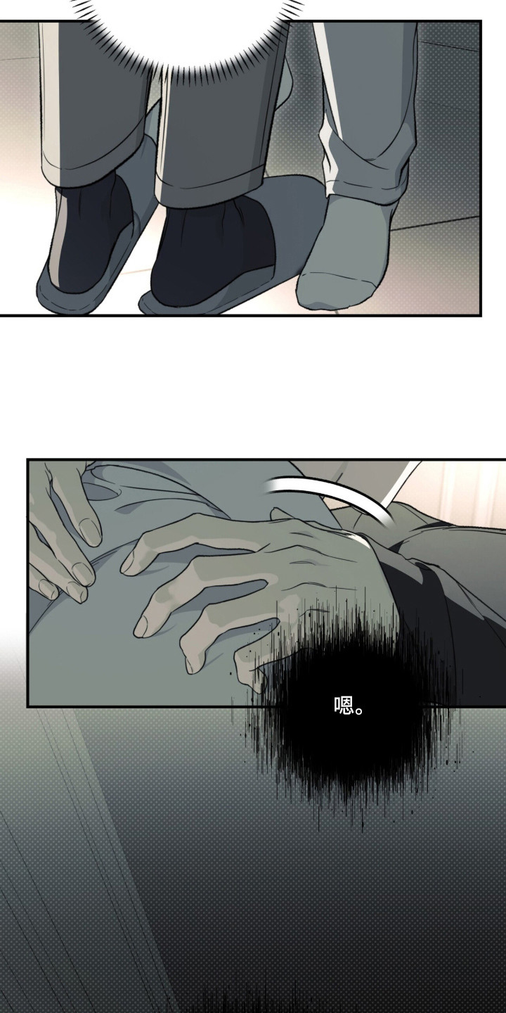 病态眷养角色关系漫画,第16章：唯一的家人（完结）3图