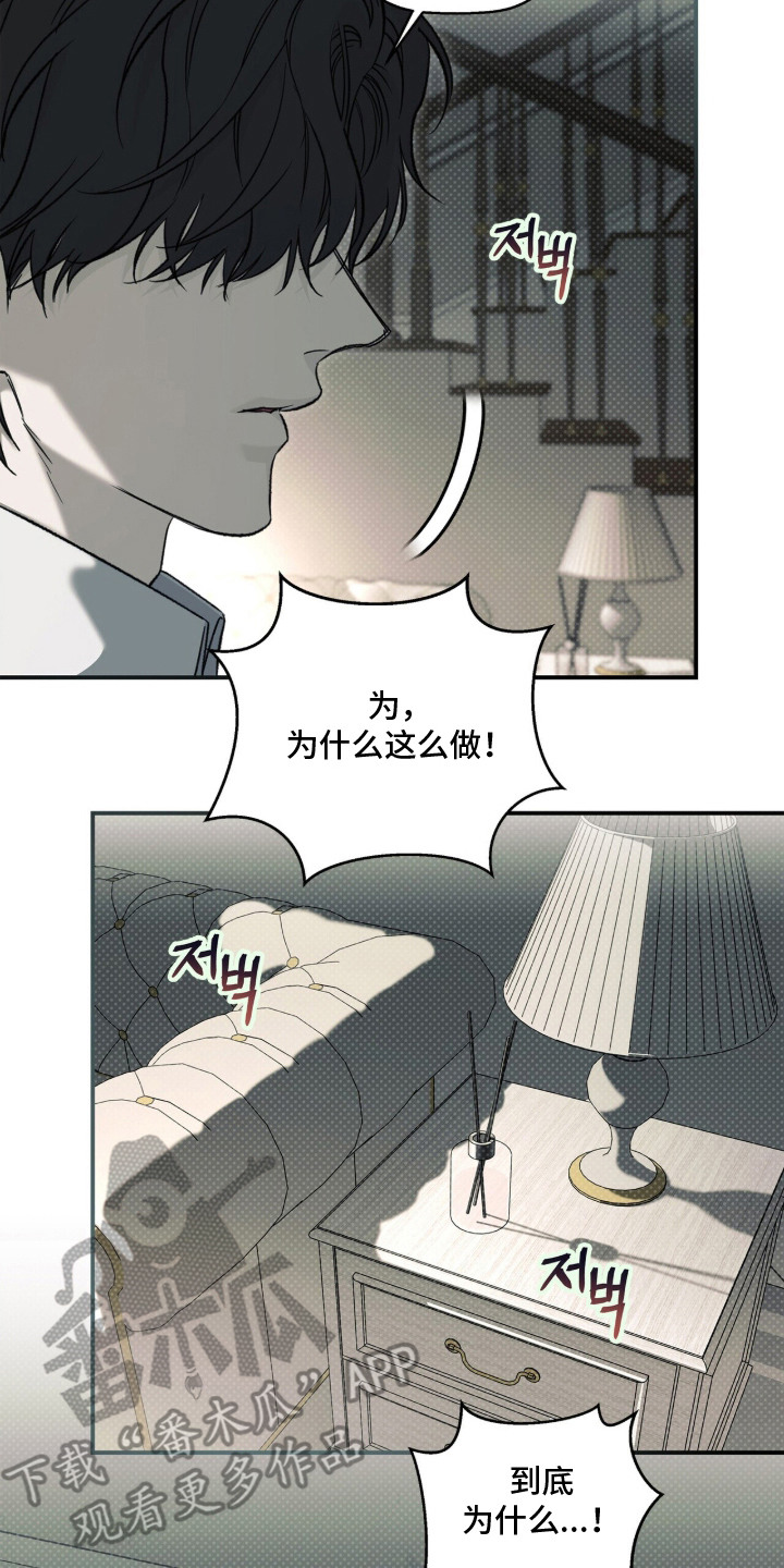 病态眷养漫画,第16章：唯一的家人（完结）4图