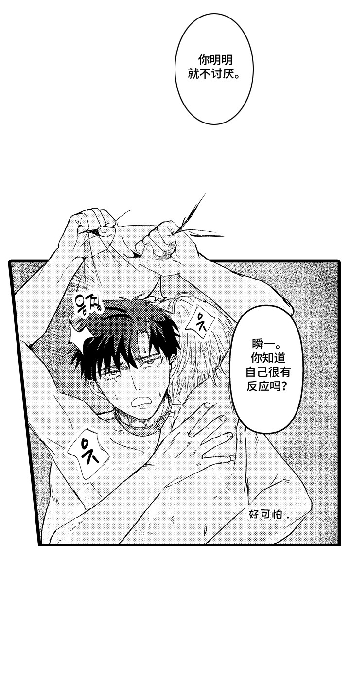 第19章：好闻的味道0