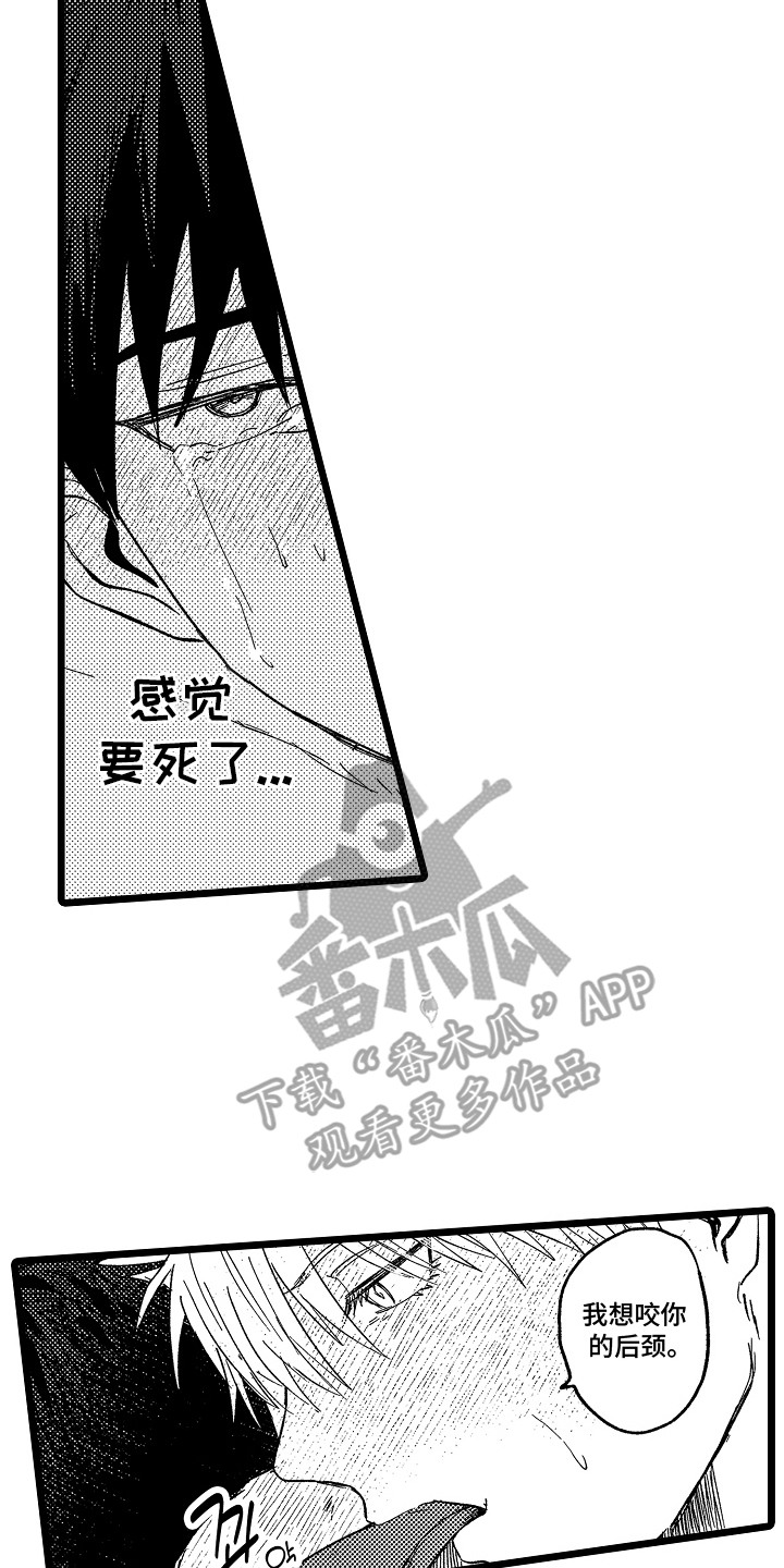 第19章：好闻的味道3