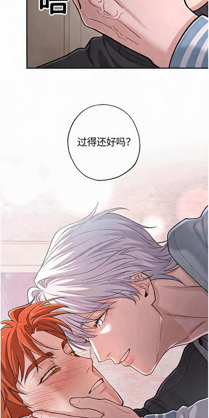 星光狼影漫画第几章漫画,第14章：很想你5图