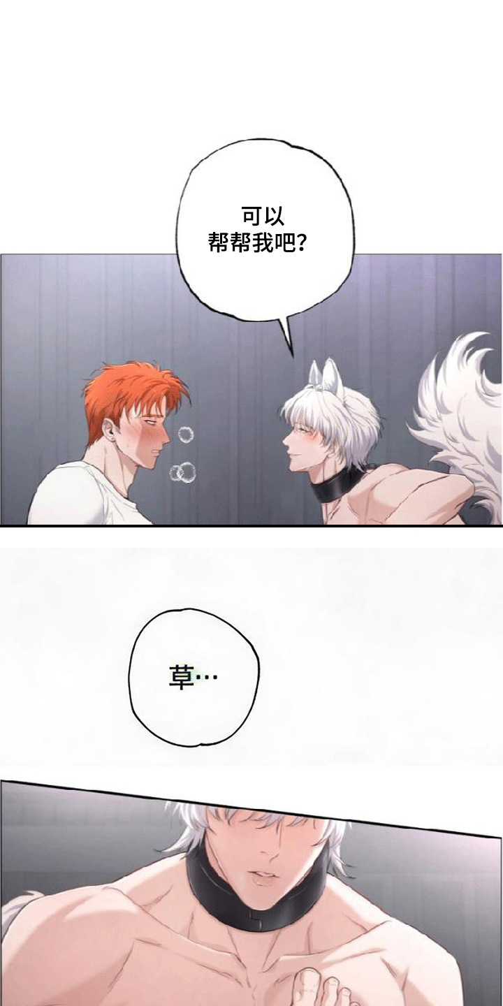 星光狼影漫画,第7章：请求5图