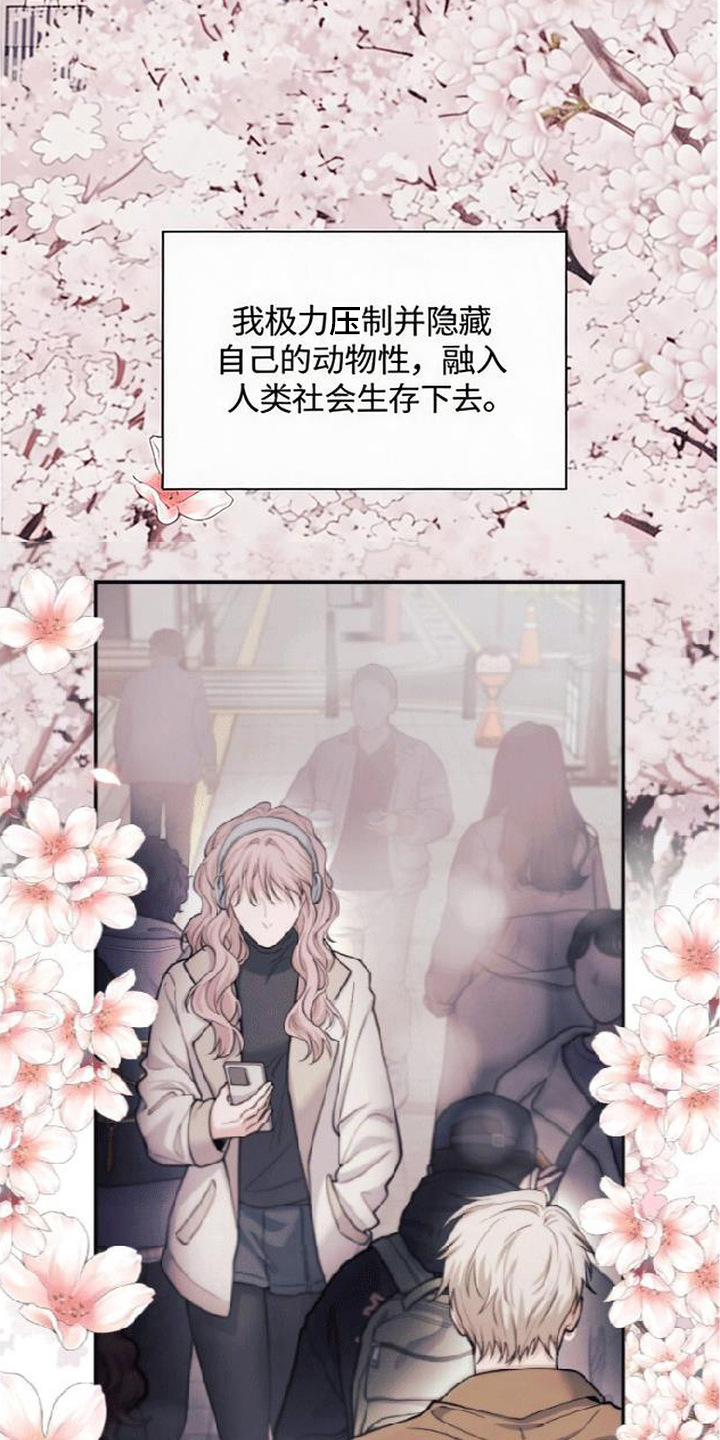 星光狼影漫画,第15章：狼人一族3图