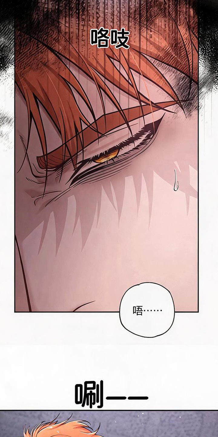 星光狼影漫画,第3章：绑架2图