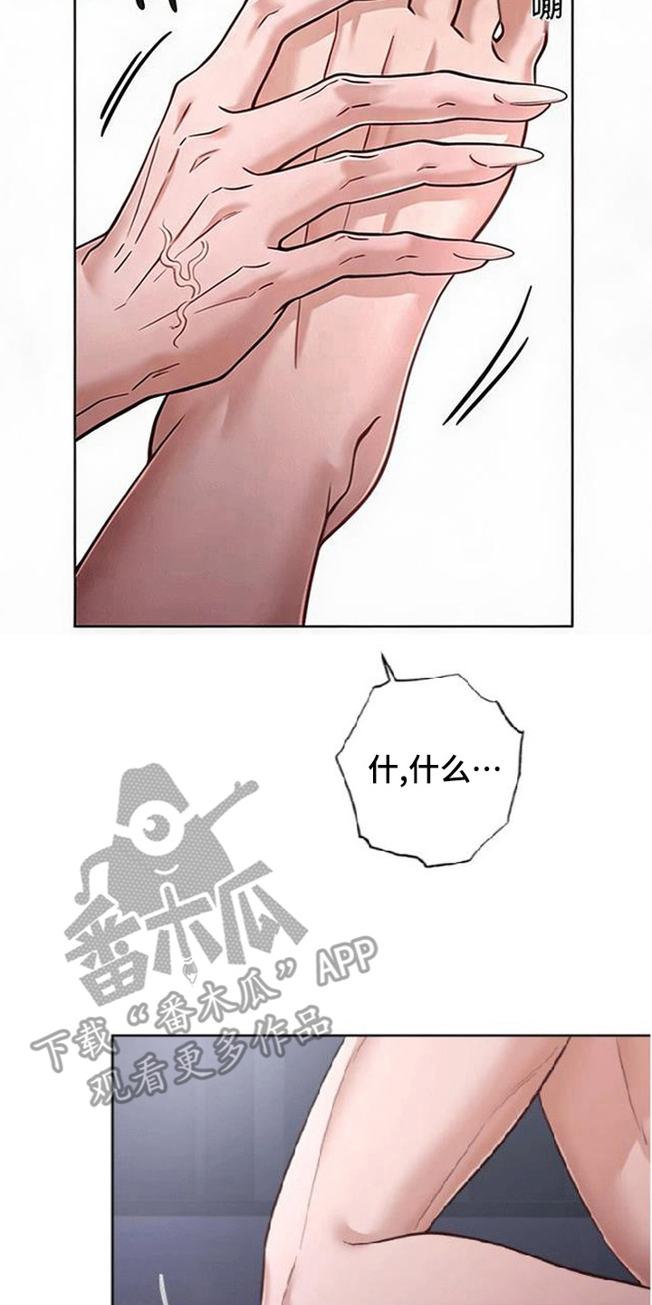 星光狼影漫画,第7章：请求2图