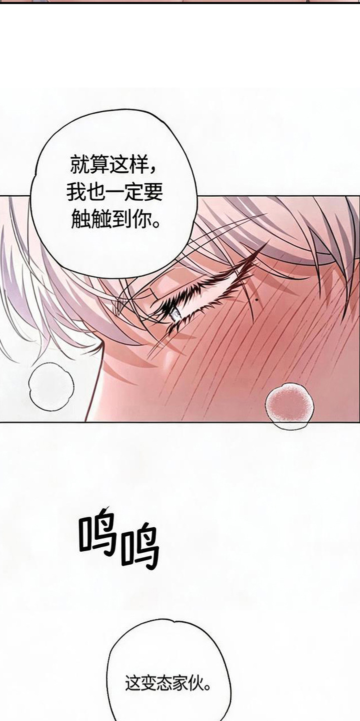 星光狼影漫画,第7章：请求5图