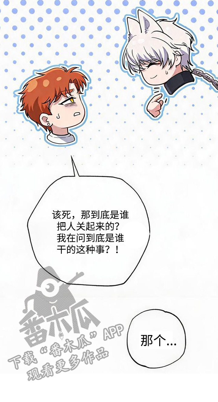 星光狼影漫画评价漫画,第6章：絮絮叨叨1图