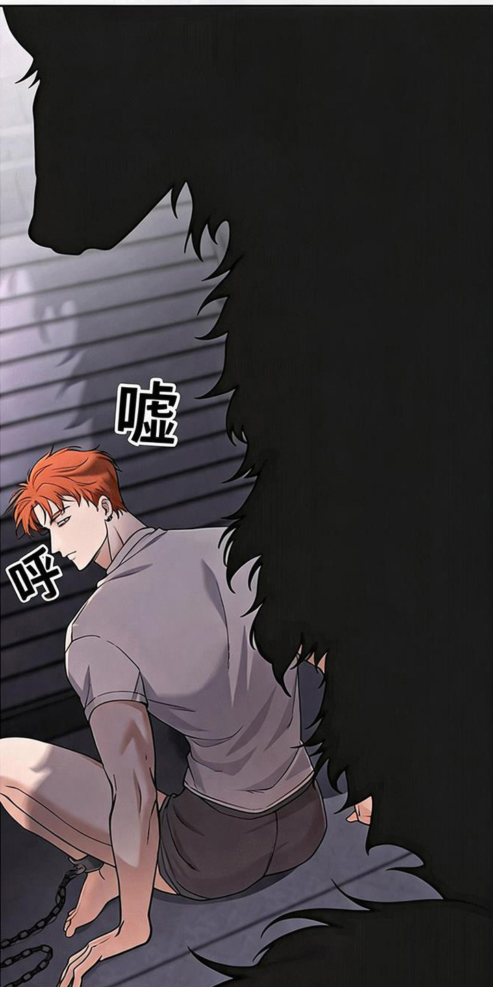 星光狼影漫画,第3章：绑架5图