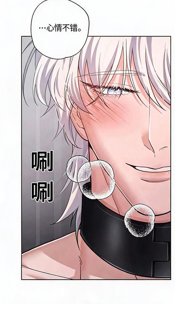 星光狼影漫画,第7章：请求3图