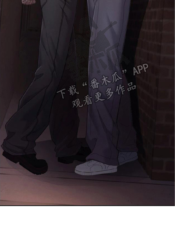 星光狼影漫画第几章漫画,第13章：复出5图