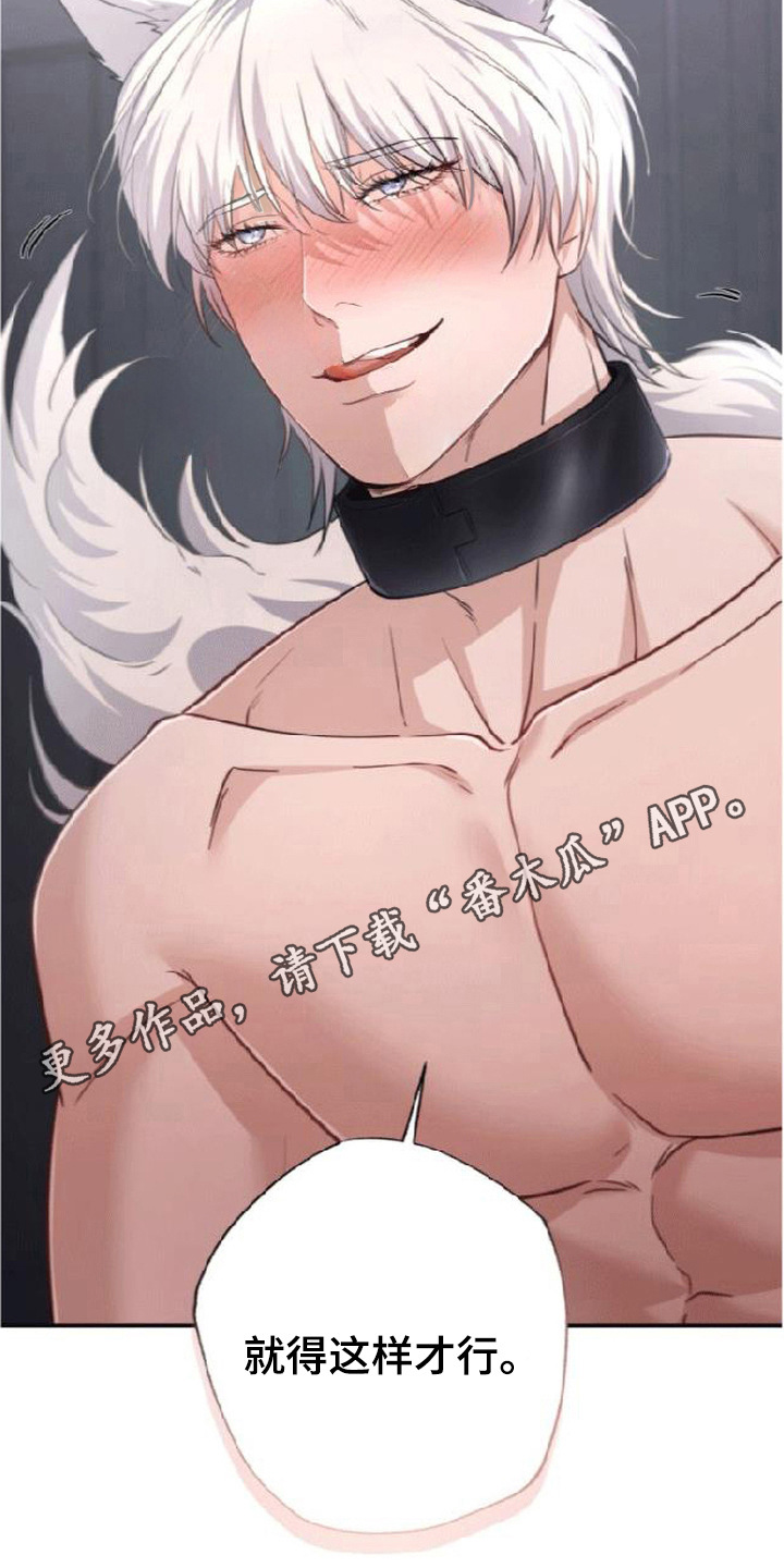 星光狼影漫画,第7章：请求4图
