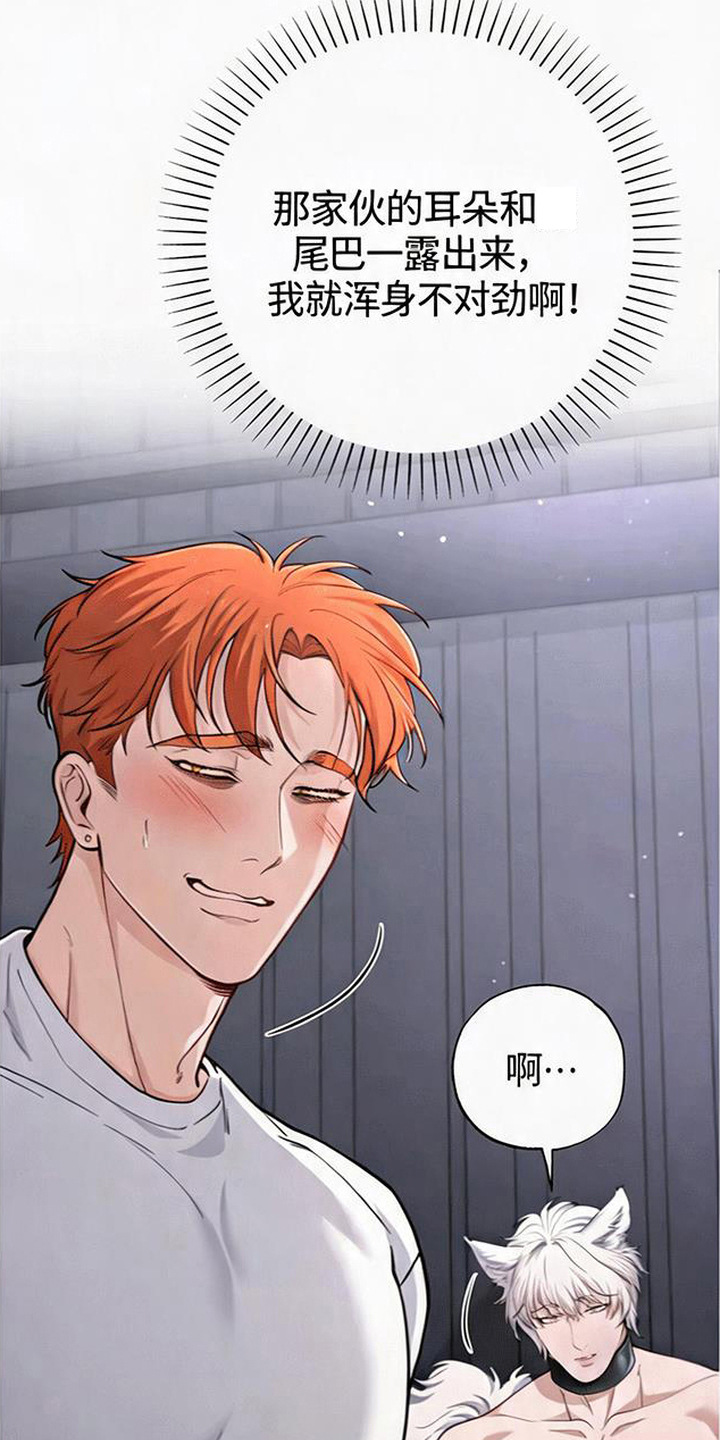 星光狼影漫画第几章漫画,第5章：委屈2图