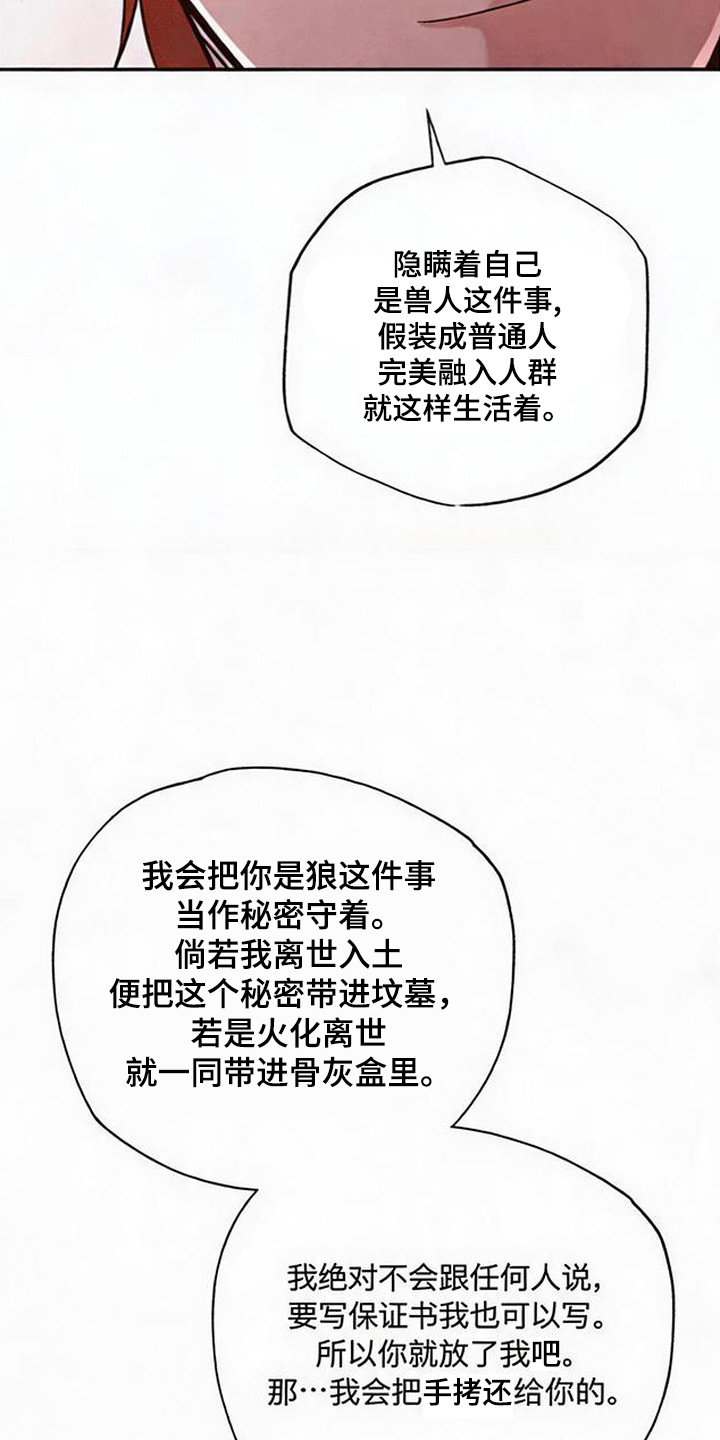 星光狼影漫画评价漫画,第6章：絮絮叨叨1图