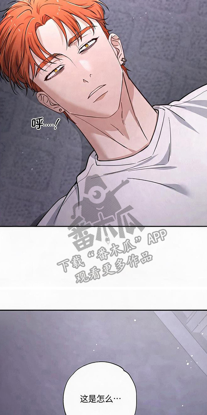 星光狼影漫画,第3章：绑架3图