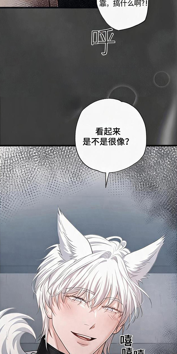 星光影城官网漫画,第12章：狼崽子5图