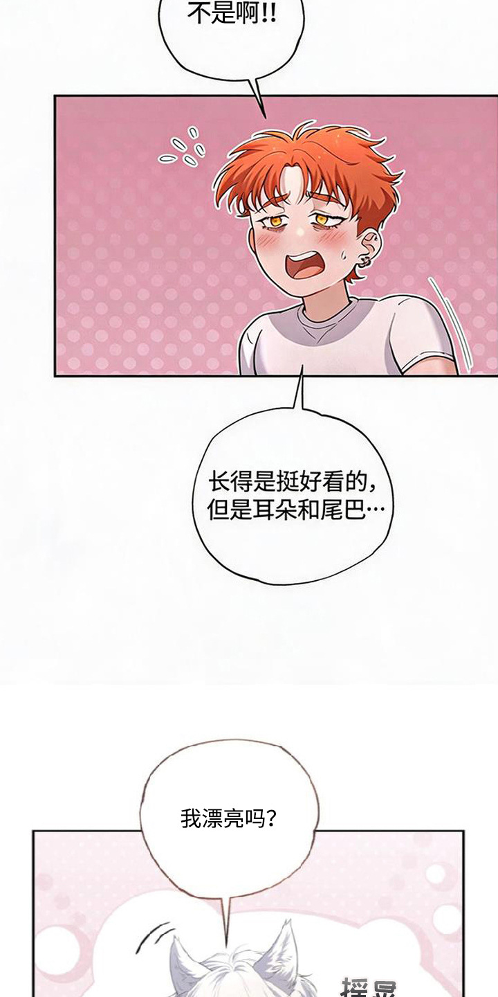 星光狼影漫画第几章漫画,第5章：委屈5图