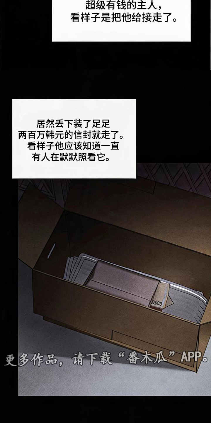 星光狼影漫画,第12章：狼崽子4图