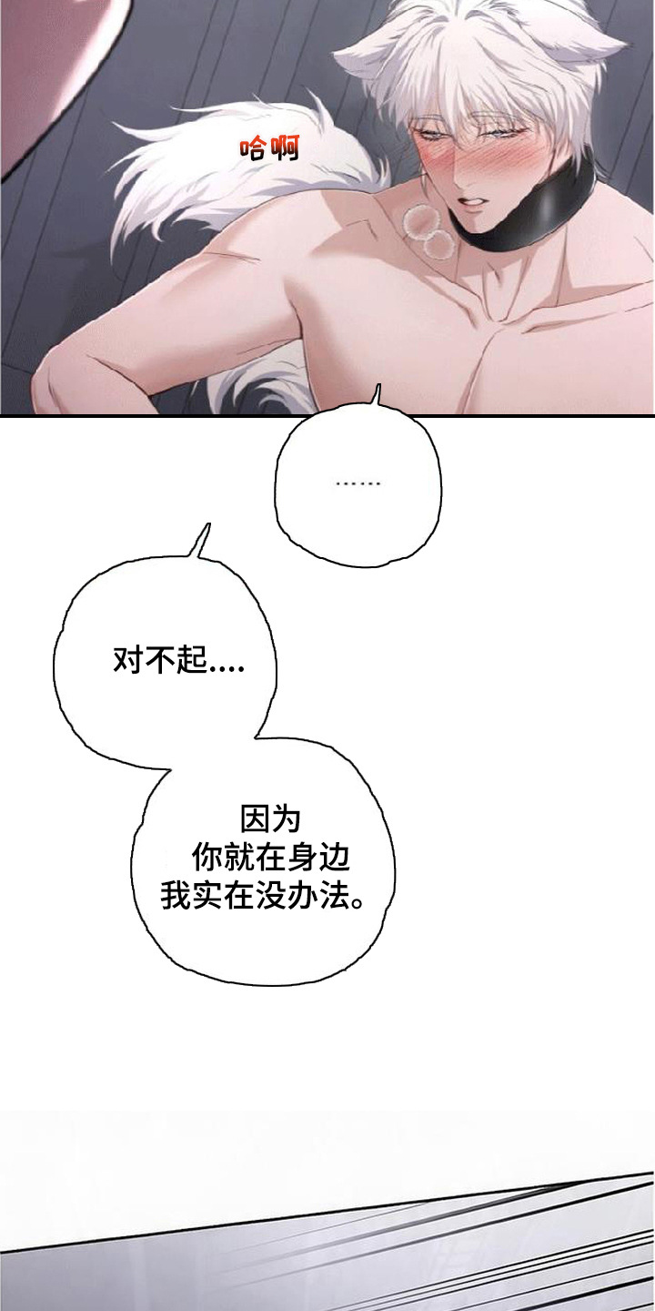 星光狼影漫画第几章漫画,第5章：委屈5图