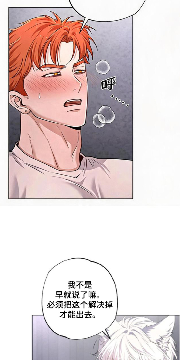星光狼影漫画,第7章：请求4图