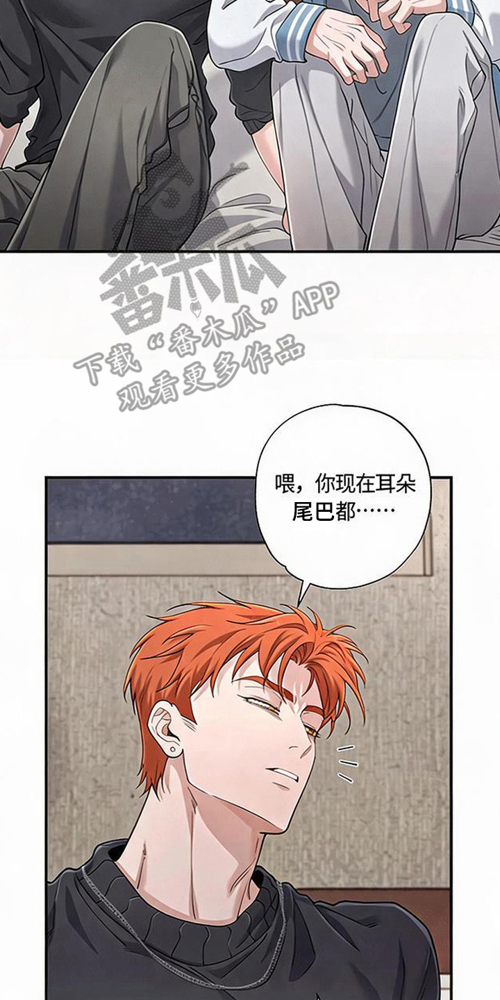 星光狼影漫画第几章漫画,第14章：很想你3图