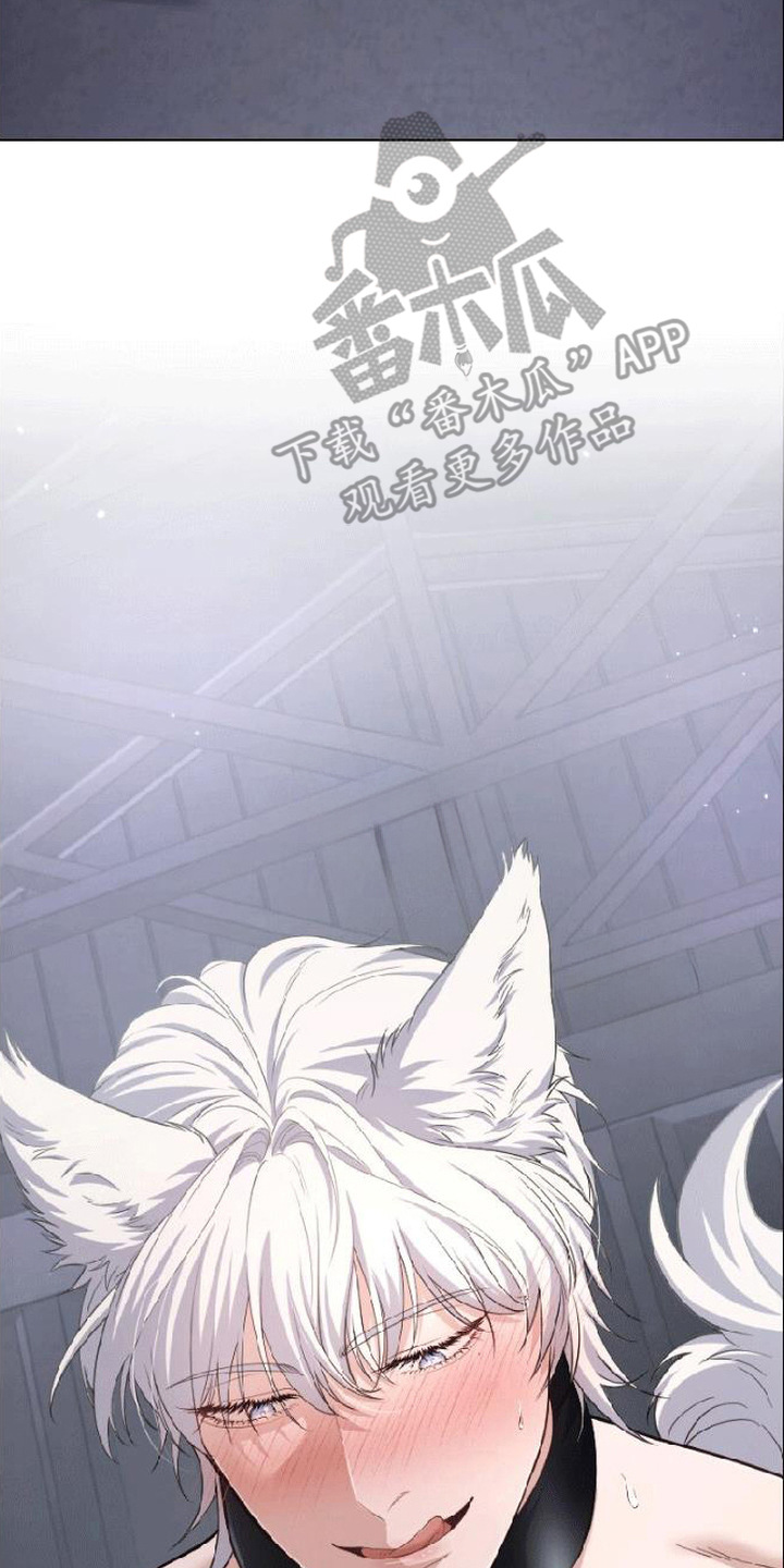 星光狼影漫画第几章漫画,第10章：纹身2图