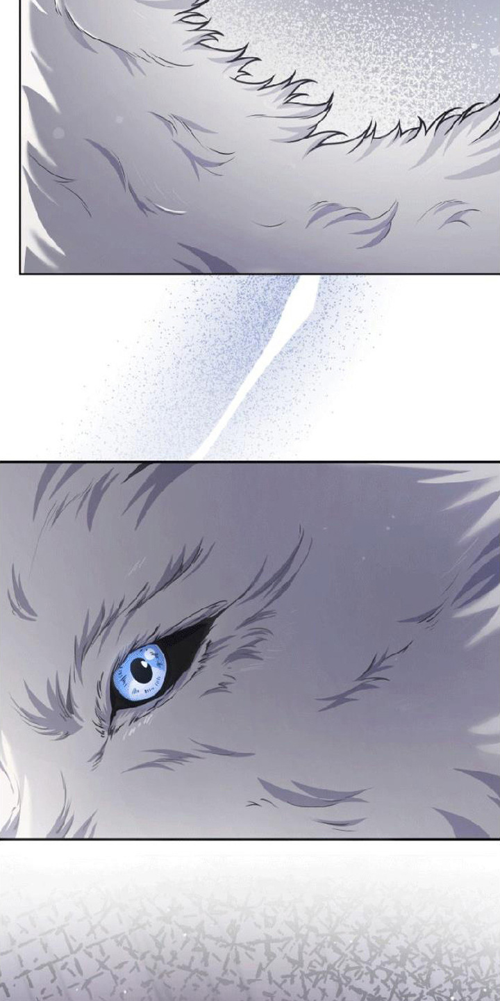 星光狼影漫画,第3章：绑架2图