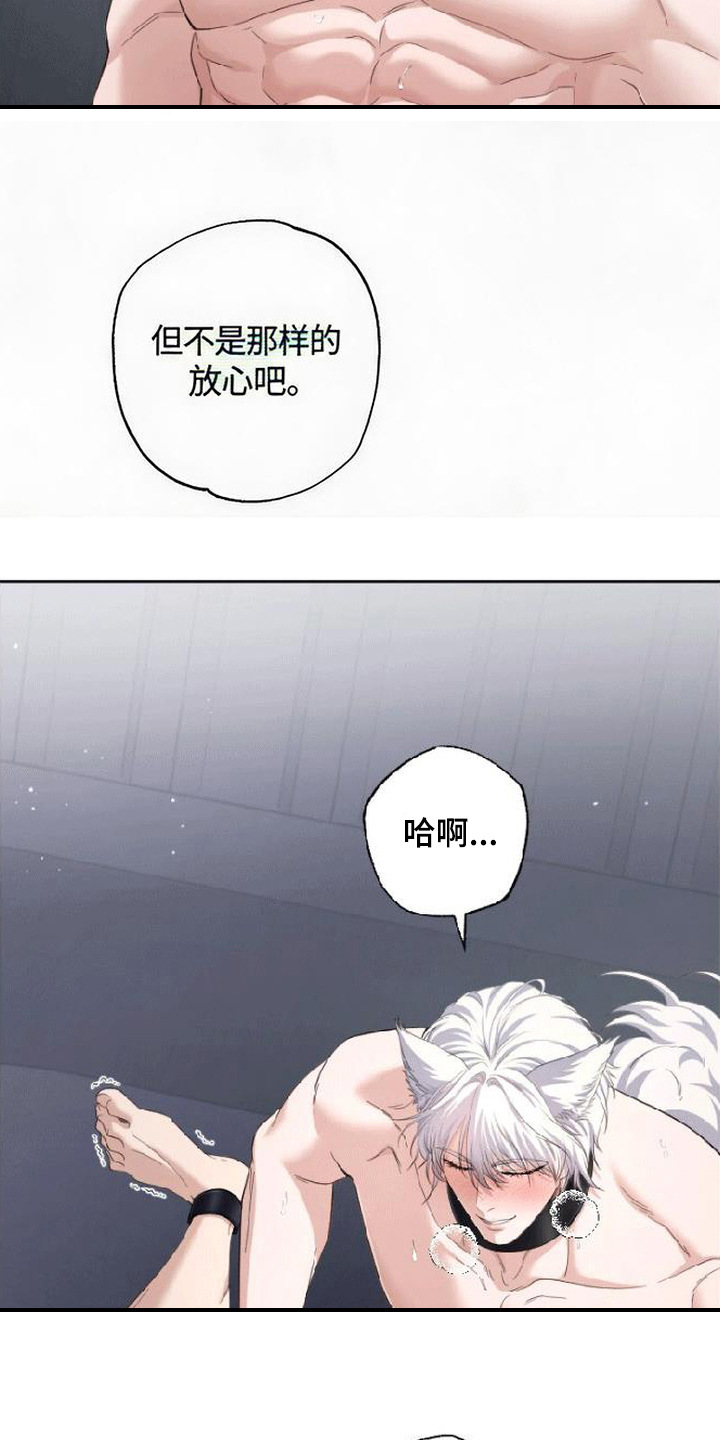 星光狼影漫画第几章漫画,第10章：纹身5图