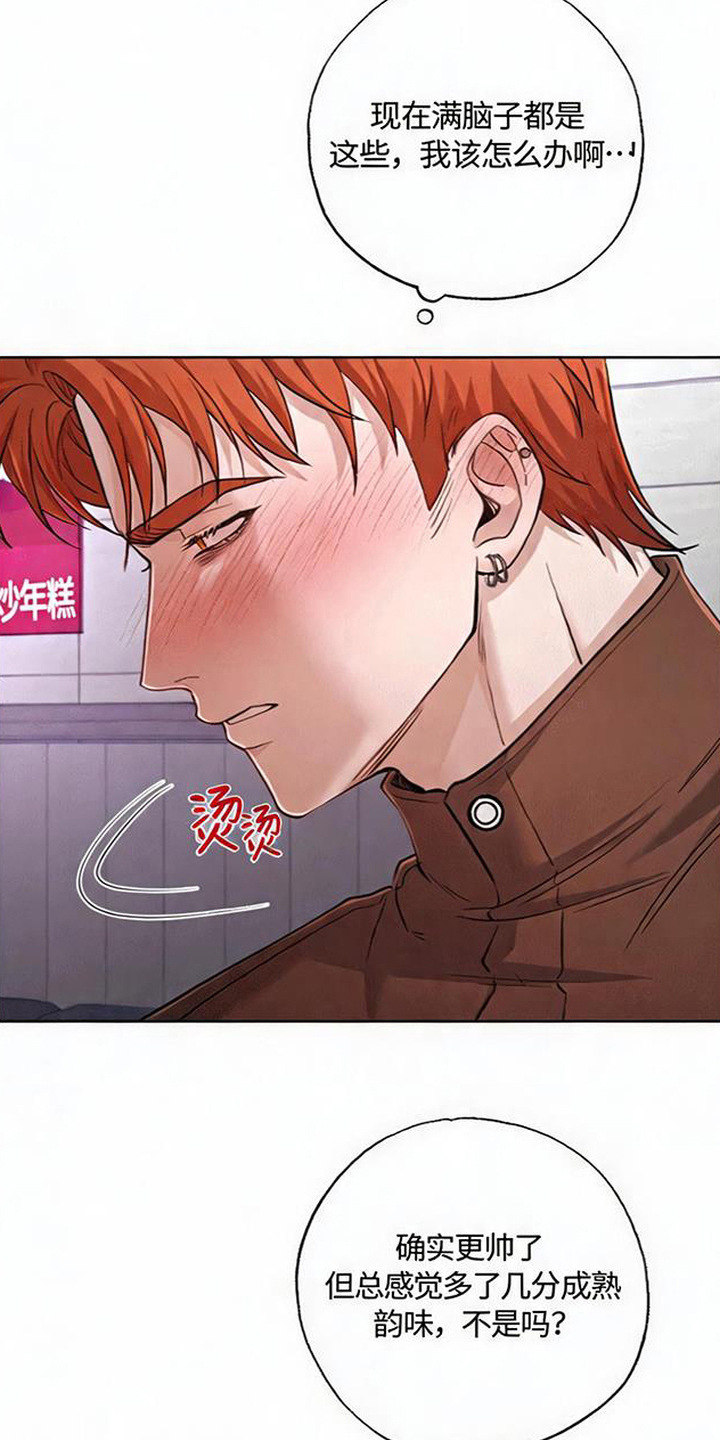 星光狼影漫画第几章漫画,第13章：复出5图