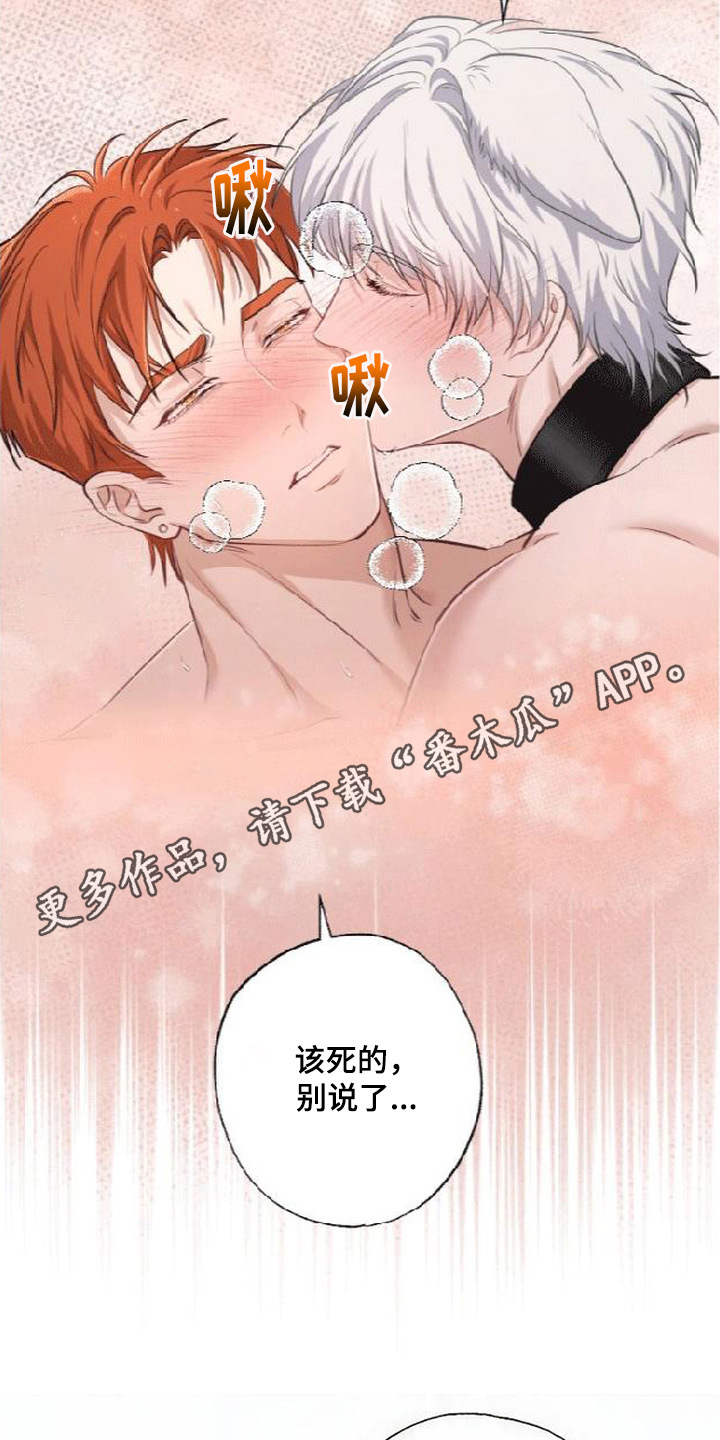 星光狼影漫画第几章漫画,第13章：复出4图