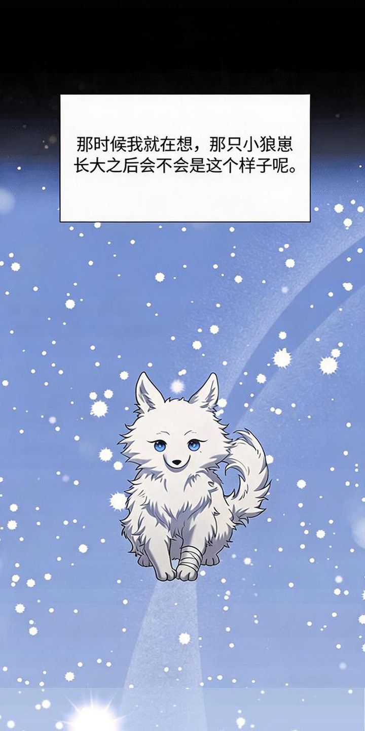 星光狼影漫画,第12章：狼崽子5图