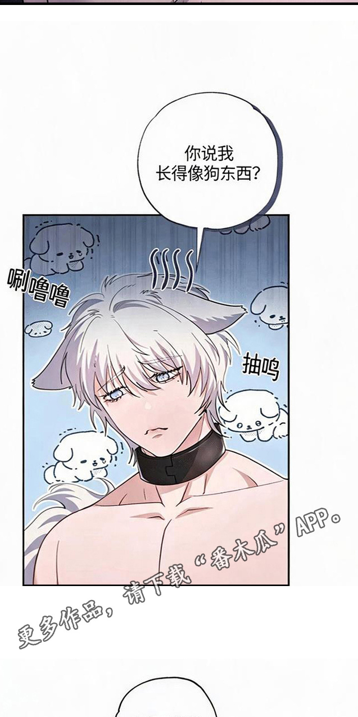星光狼影漫画第几章漫画,第5章：委屈4图