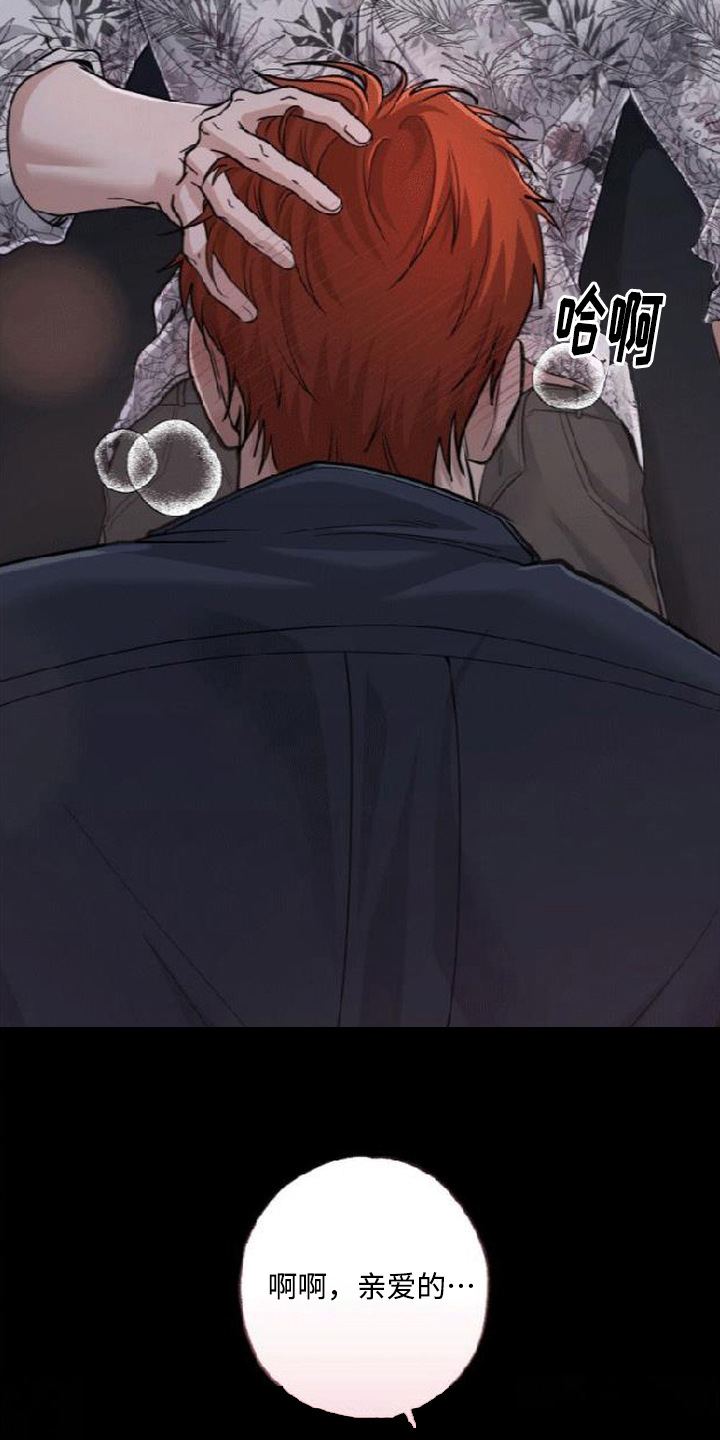 星光狼影漫画,第17章：亲爱的（完结）1图