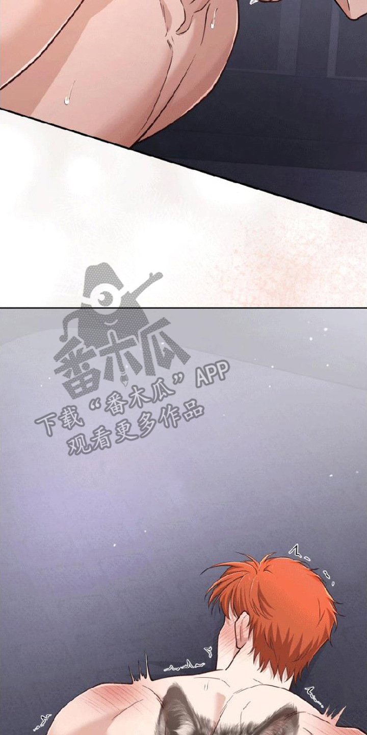 星光狼影漫画第几章漫画,第10章：纹身3图