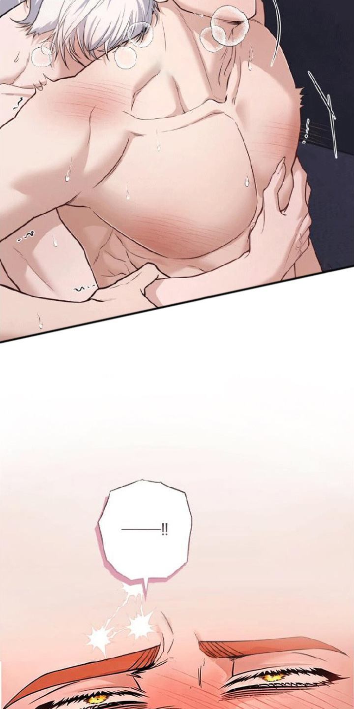 星光狼影漫画第几章漫画,第10章：纹身1图