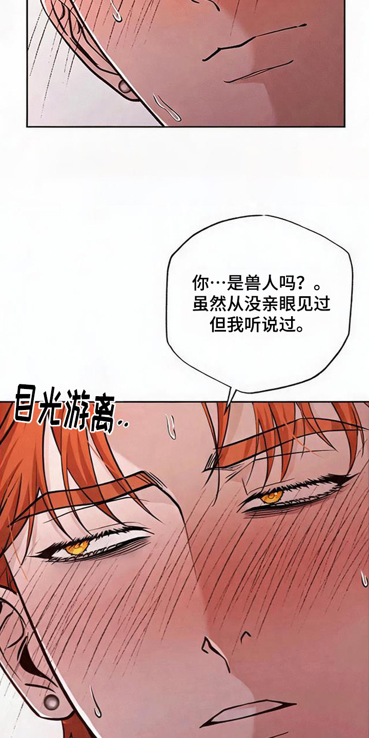 星光狼影漫画评价漫画,第6章：絮絮叨叨5图