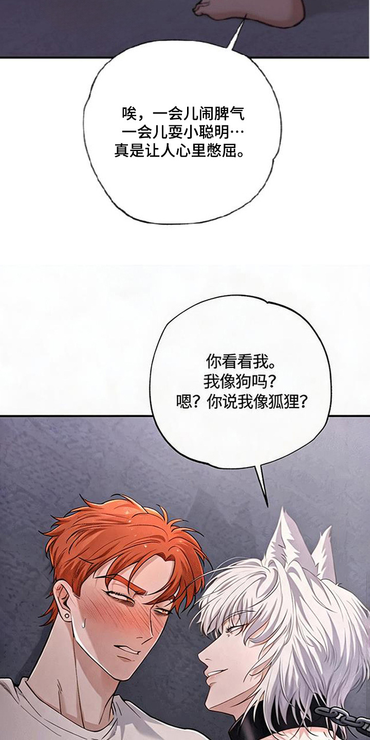 星光狼影漫画评价漫画,第6章：絮絮叨叨2图