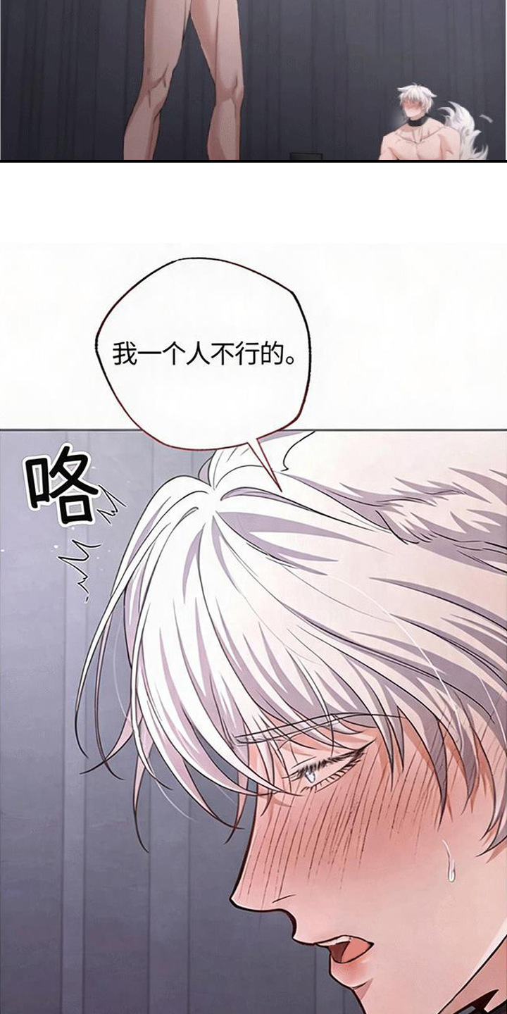 星光狼影漫画第几章漫画,第5章：委屈3图