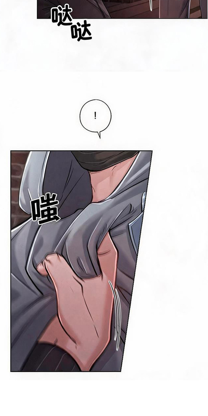 星光狼影漫画第几章漫画,第13章：复出2图