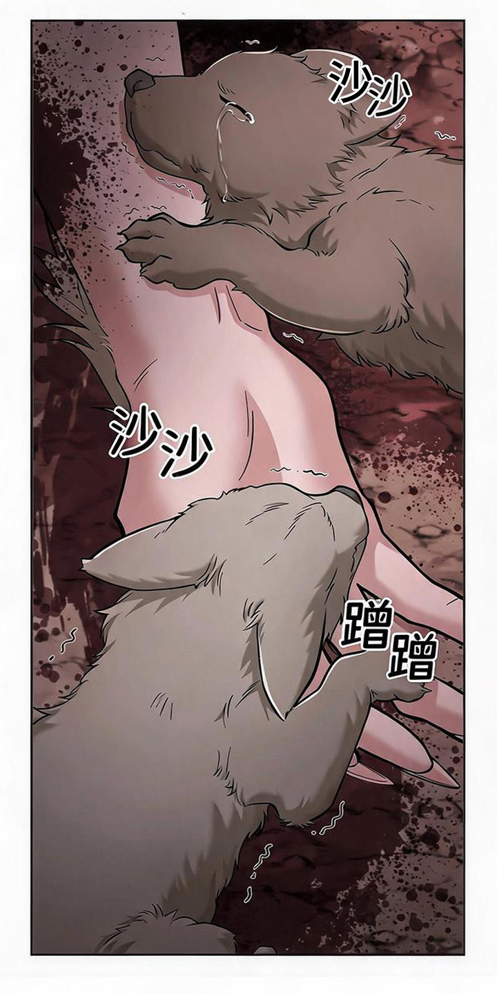星光狼影漫画,第15章：狼人一族1图