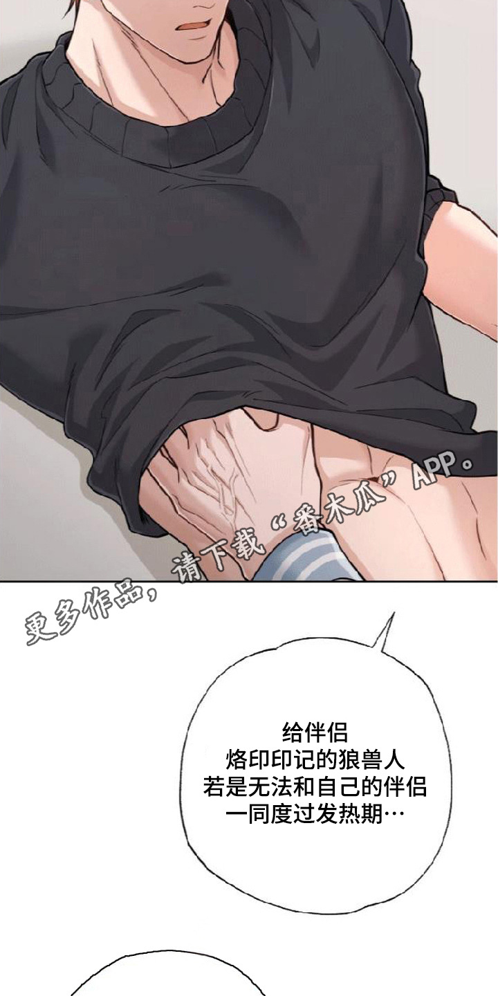星光狼影漫画,第16章：本能诅咒4图
