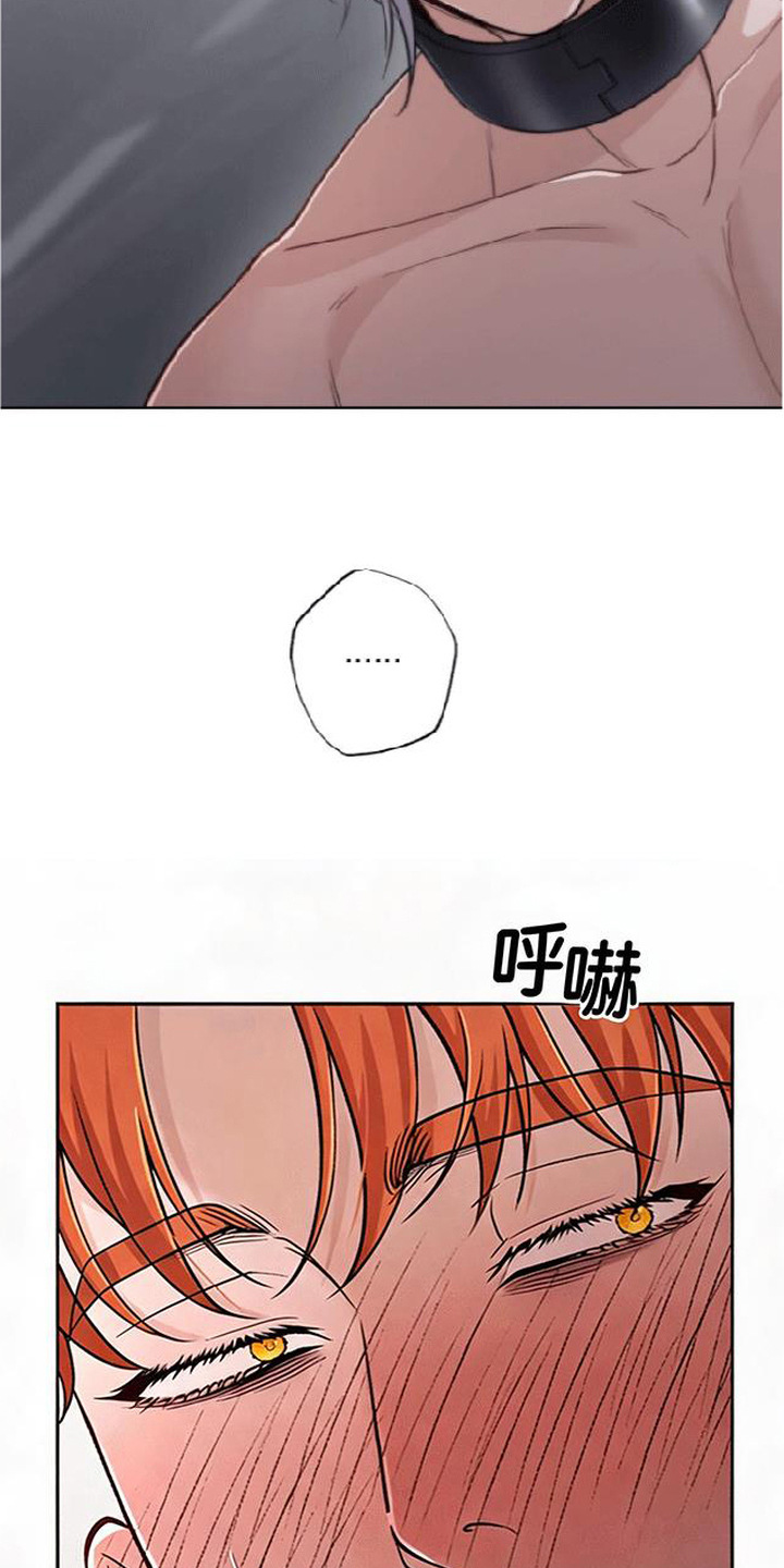星光狼影漫画评价漫画,第6章：絮絮叨叨4图