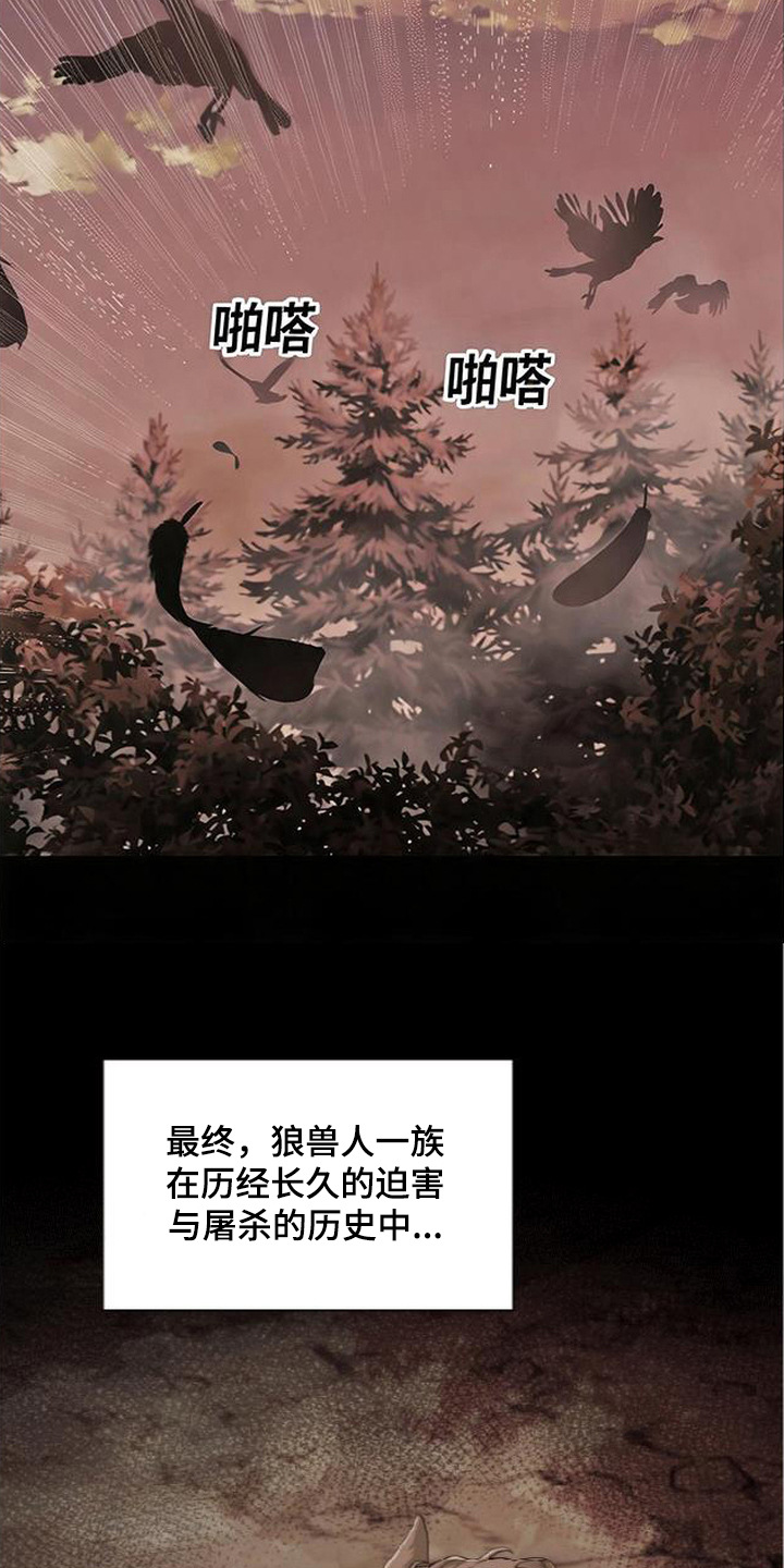 星光狼影漫画,第15章：狼人一族4图